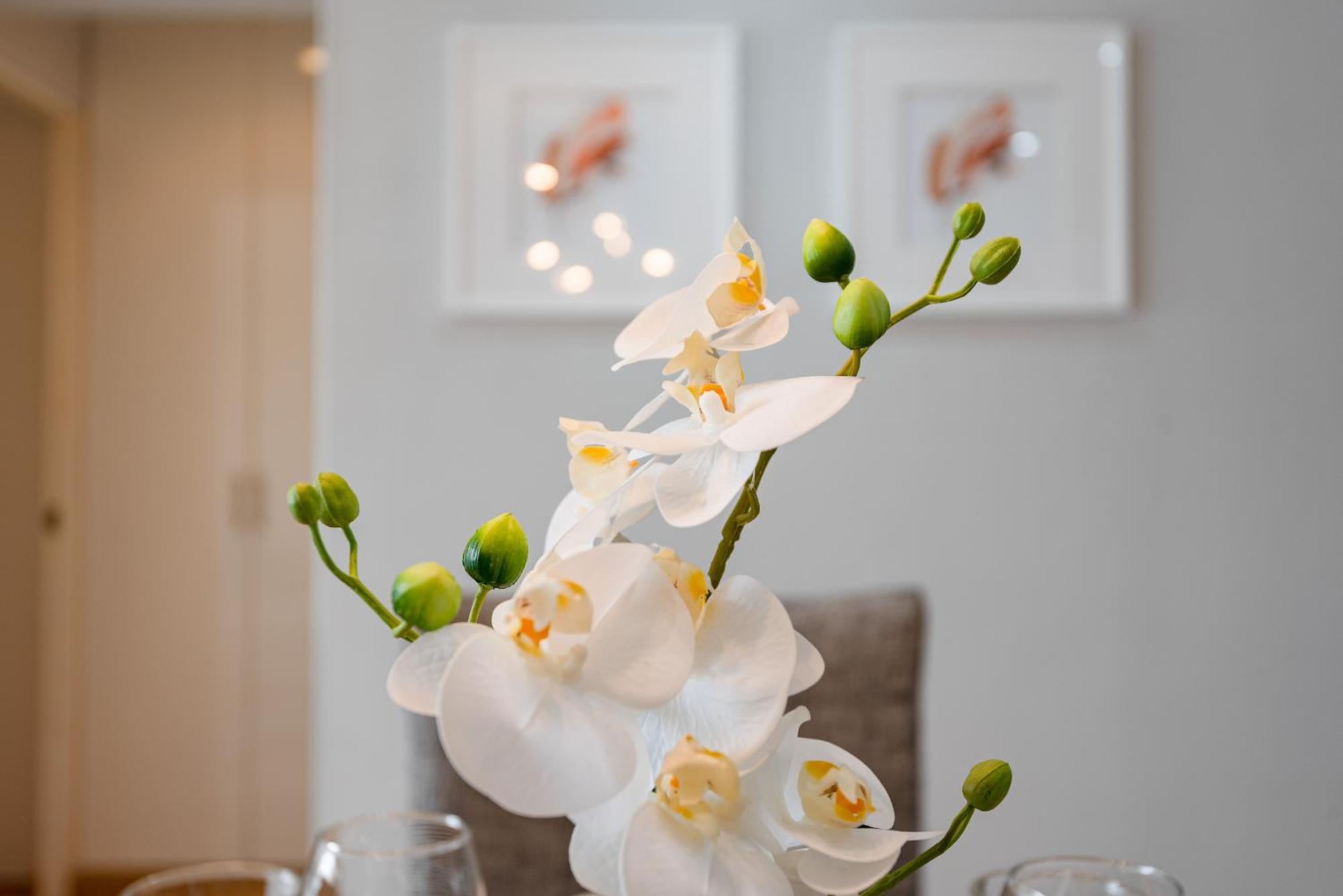 לימה Skyliving Towers Apartments - Peru מראה חיצוני תמונה